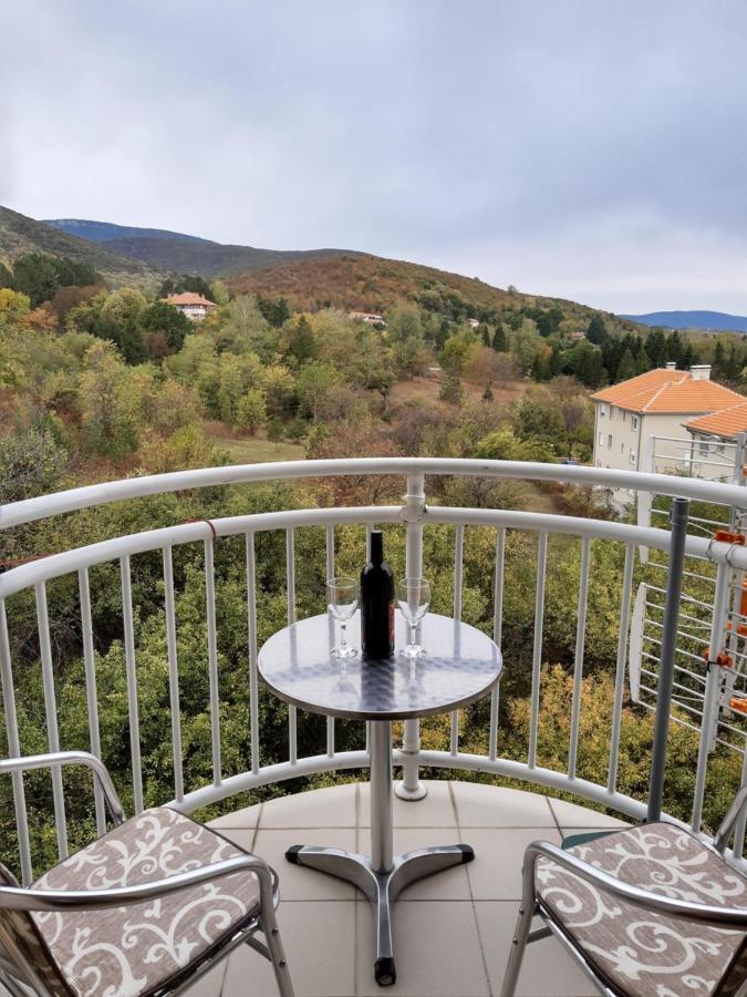 Sky Apartman Soko Banja Luaran gambar
