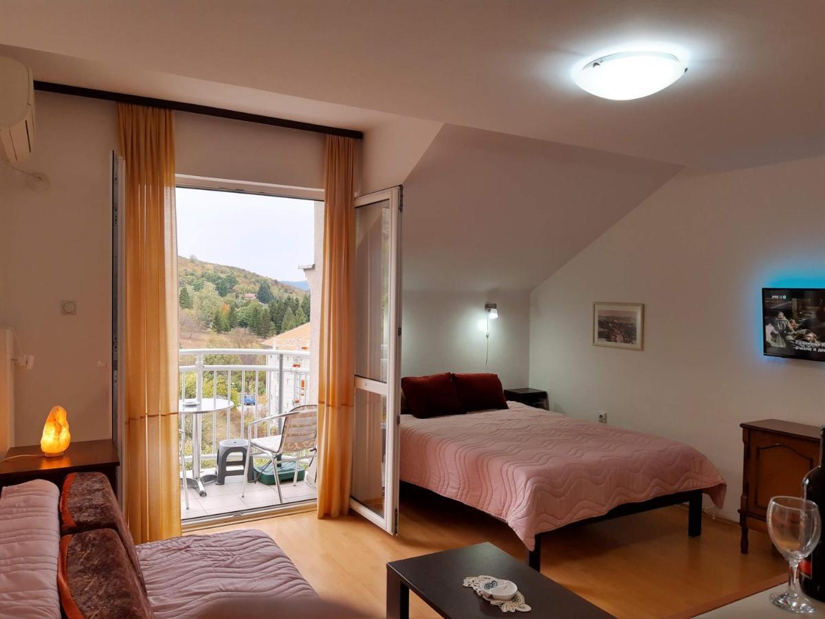 Sky Apartman Soko Banja Luaran gambar