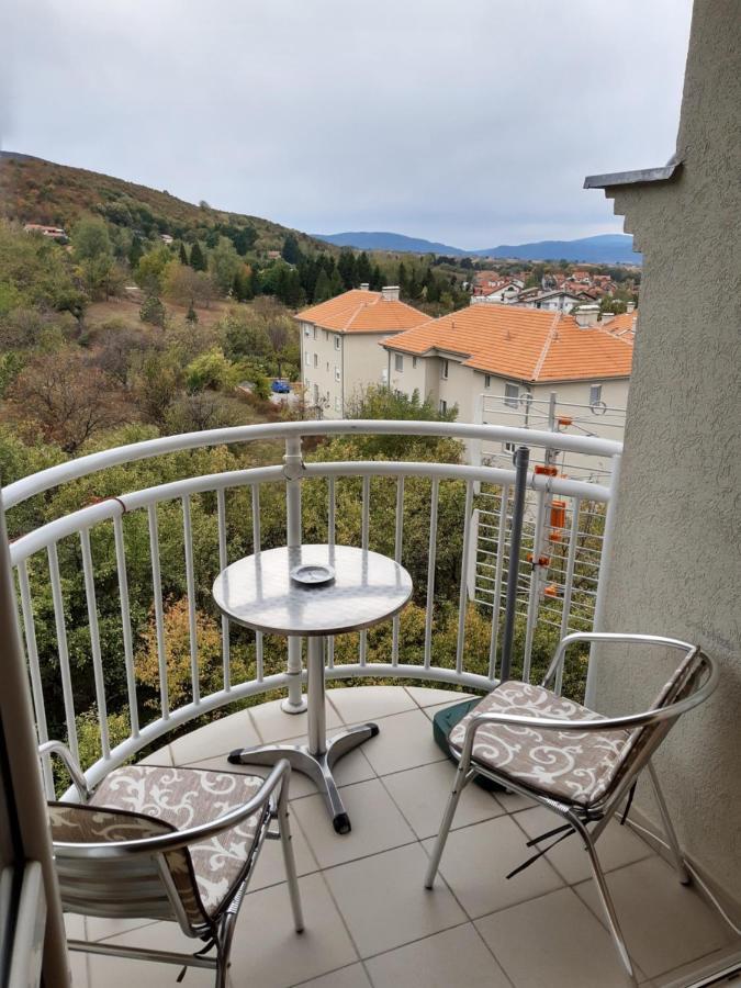 Sky Apartman Soko Banja Luaran gambar